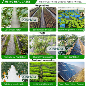 Mulch phim cảnh quan thương mại vải tiết kiệm nước <span class=keywords><strong>Polypropylene</strong></span> cỏ dại hàng rào bán buôn vải cảnh quan - Product Image 6