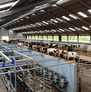 התקנה מהירה טרומית מבנה פלדה טרומי בניין חוות בקר מסורתי לשפוך כבשים לשפוך עיזים בית פרה נמוך - Product Image 4