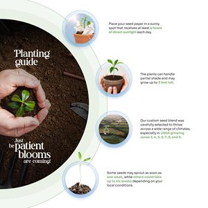 Carte en papier semé écologique en forme <span class=keywords><strong>de</strong></span> cœur, faite à la main, recyclée, avec graines <span class=keywords><strong>de</strong></span> fleurs sauvages, pour marqueur <span class=keywords><strong>de</strong></span> remerciement <span class=keywords><strong>de</strong></span> mariage - Product Image 6
