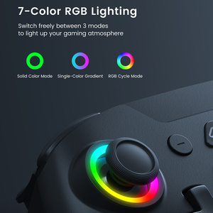 HS-SW2504 <b>Wireless</b> BT Game <b>Controller</b> for NS2 <b>PC</b> Android iOS Turbo Vibration RGB Joystick Gamepad with 3.5mm Audio Jack - Product Image 4
