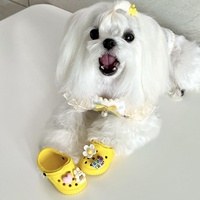Vente chaude produits pour animaux de compagnie chaussures pour chiens d'été résistant à l'usure respirant plage extérieur antidérapant mignon chaussures pour animaux de compagnie