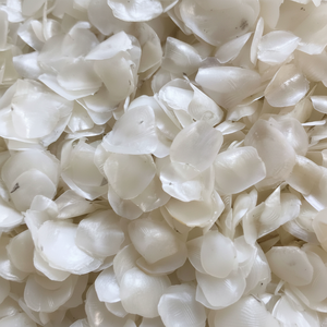 เครื่องชั่งน้ำหนักปลา Barramundi แห้งแหล่งแท้สำหรับคอลลาเจนผงผลิตภัณฑ์ดูแลผิวความงามอุตสาหกรรมเครื่องสำอางสุขภาพและโภชนาการ - Product Image 1