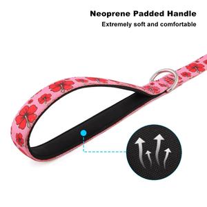 Collar de perro mascota de poliéster de color con patrón de logotipo personalizado en conjunto correa de perro mascota con relleno de neopreno suave en stock MOQ bajo de fábrica - Product Image 4
