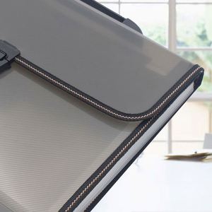 Top Sell Custom Bv-Fh01 Office Use Pvc <b>Box</b> <b>Folder</b> 24 Pockets 3Mm Thick A4 Size File Organizer With Mesh Bag - Product Image 3