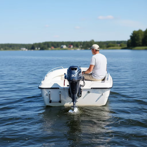 Bateau en aluminium 60HP 4 temps, moteur essence manuel certifié CE, haute performance, pêche, neuf, 246 CC - Product Image 2