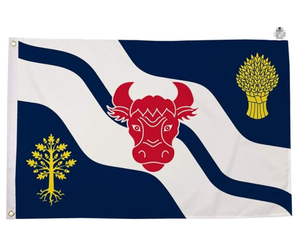 Bandera de Rugby de Inglaterra 3x5 pies, Poliéster 100D, Bandera del Condado de Staffordshire con Dos Ojales Metálicos - Resistente a la Decoloración - Colores Vivos - Product Image 6