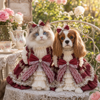 Combinaison Teddy Lolita pour chien et chat, en polyester, style princesse, avec dentelle, toutes saisons, adorable