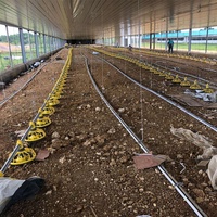 Système de contrôle automatique de l'alimentation et de la température pour poulaillers, équipement d'élevage de poulets à prix d'usine