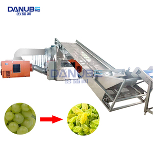 Séchoir à bande continue haute performance pour fruits, machine de séchage de raisins, ligne de production de nettoyage et de séchage de raisins - Product Image 1