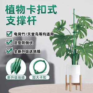 Piquets de Soutien pour Plantes Autonomes, Revêtement Plastique, Anti-Basculement, Accessoires de Jardinage - Product Image 1
