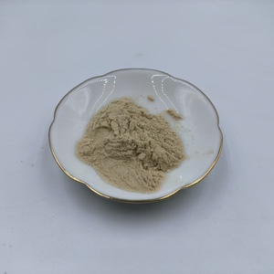 Poudre d'enzyme alpha-amylase à succès commercial, alpha-amylase 100 000 U/g, amylase à température moyenne - Product Image 3