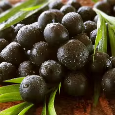 Лидер продаж, порошок экстракта ягод асаи, порошок сока ягод асаи, 100% натуральный порошок ягод Асаи - Product Image 3