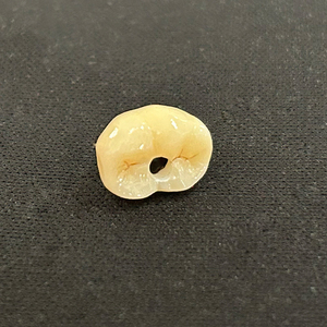 Produits d'implants dentaires laboratoire numérique personnalisé <span class=keywords><strong>molaire</strong></span> dent artificielle bonne marge meilleur ajustement <span class=keywords><strong>prix</strong></span> bon marché - Product Image 5