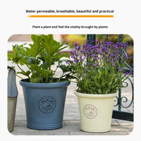 Nouvelle Série Clio : Pot de Fleurs Minimaliste Nordique pour Escalier, Hortensia, Plantes Vertes d'Intérieur et d'Extérieur, Pots de Plantes et de Fleurs