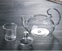 Théière en verre borosilicate de 600 ml, faite à la main, écologique, compatible avec les plaques de cuisson, avec une grande poignée et un infuseur pour thé en feuilles.