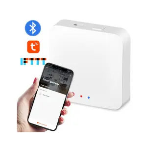 RSH Blue Tooth Tuya Home Hub Alexa Pengatur Suara Smart Wifi BLE Gateway Nirkabel untuk Tirai Robot Kunci Pintu Sidik Jari