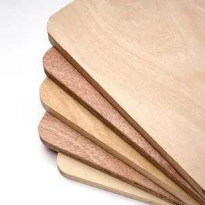 Cửa hàng bảng nhà máy các loại khác nhau của ván ép gỗ sồi Poplar Bạch Dương đồ nội thất