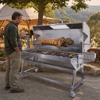 Barbecue à gaz extérieur à capot en acier inoxydable 85 kg, rôtissoire à charbon pour agneau et cochon, pour 5 personnes et plus