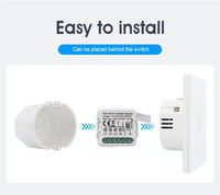 Module de relais intelligent DUOMEI Tuya Wi-Fi Zigbee pour interrupteurs de télécommande sans fil, domotique, commande vocale Alexa, IP21, 100M