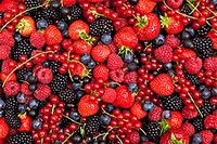 110g Mix Fruit Extra Jam Capriccio Degli Dei Giuseppe Verdi Selection Fruit Jam Made Italy