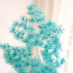 T04300 Large Stems Meaty Rime Grass Preserved Ming Sprengeri Asparagus Fern Bunch <strong>Dried</strong> Preserved <strong>Plant</strong> for Wedding Home Decor - Product Image 4