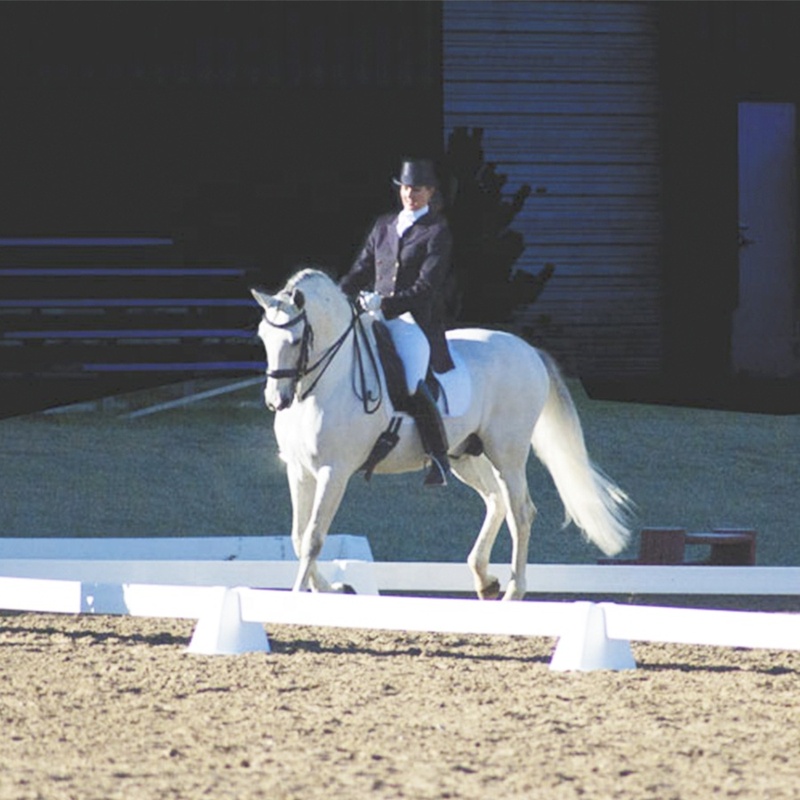 Professional UV Resistant White HDPE Horse