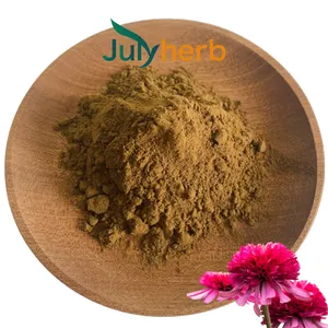 Julyherb Natürliches Echinacea-Kraftenextrakt Echinacea purpurea-Extraktpulver Zichorinsäure 4%~8%