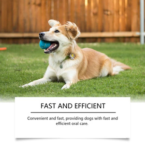 Spray Bucal Natural para Perros y Gatos, Aditivo para el Agua, Cuidado Bucal, Salud Dental, Spray para el Aliento de Mascotas - Product Image 2