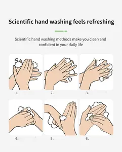 環境にやさしい自然ななだめるような泡石鹸液体手洗い発泡錠