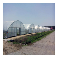Serre tunnel agricole à simple travée de 1000 m² en film PE pour légumes, à faible coût, à vendre