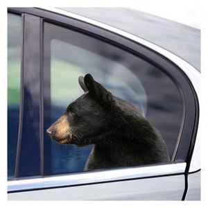 Waterproof UV Resistant Bear <b>Decal</b> Gift Idea Vinyl Die Cut Funny Car <b>Window</b> Bumper Stickers Outdoor Vehicle Use - Product Image 1