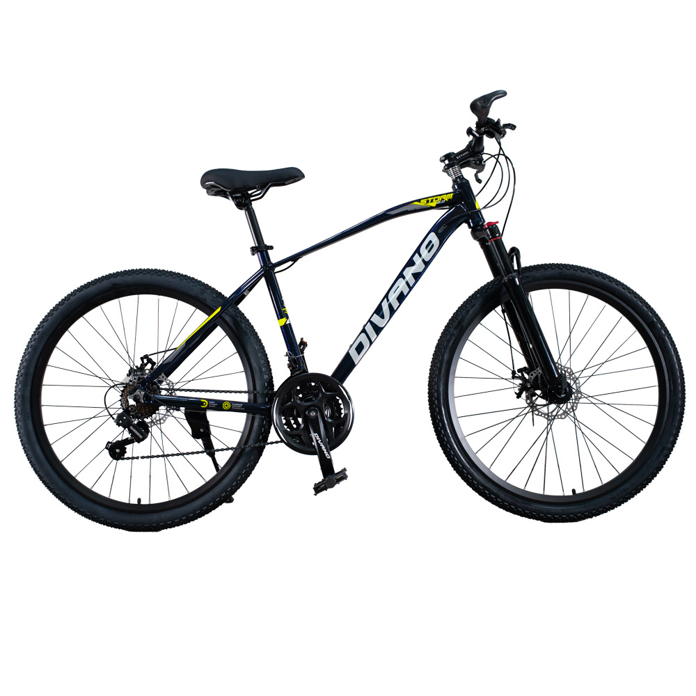 Mountain Bike Bicicletta Raleigh Manhattan Mountain Bike Bike