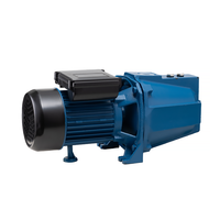 Pompe domestique pour l'eau propre, pompe agricole, turbine en laiton, jet 100 150, pompe auto-amorçante