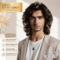 Peluca de Estilo Europeo Americano, Fabricada a Máquina, Cabello Corto Rizado Marrón Oscuro para Hombre y Mujer, Venta Directa en Europa y América