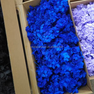 <span class=keywords><strong>Fleurs</strong></span> naturelles <span class=keywords><strong>stabilisées</strong></span> Corsage fleur vrais pétales <span class=keywords><strong>Bouquet</strong></span> boîte florale stabilisé hortensia bricolage Arrangement - Product Image 1