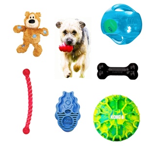 Vente en gros de jouets pour animaux de compagnie KONG Collection PETBUCK en vrac - Product Image 1