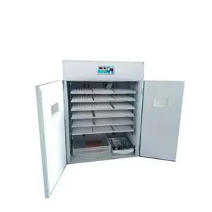 Couveuse automatique de haute qualité, petit incubateur d'œufs, poulet, autruche, poussins à vendre