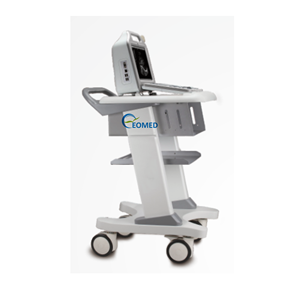 Grosir Rumah Sakit 12.1 inci penggunaan manusia dokter hewan Laptop B & W mesin pemindai <span class=keywords><strong>Ultrasound</strong></span> perangkat Echographie - Product Image 5