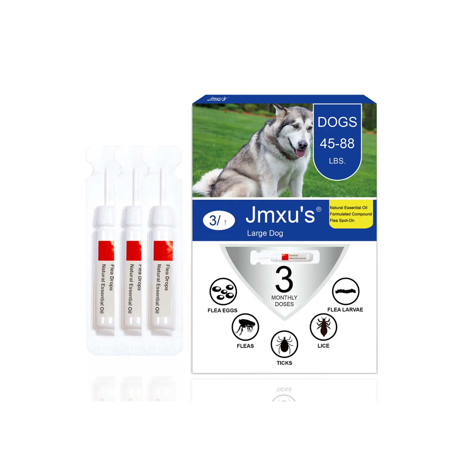 Traitement contre les puces et les tiques à base de plantes pour chiens, huiles essentielles anti-puces pour chiens, élimine les tiques et les puces avec des extraits de plantes