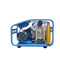 Allemagne bauer capacité d'air 320l/min 330bar 500 bar compresseur d'air respirant haute pression en vente