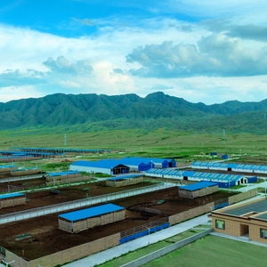 Chi phí thấp gia súc cừu lợn gà gia cầm đổ với cấu trúc thép mạ kẽm khung bò trang trại đổ - Product Image 1