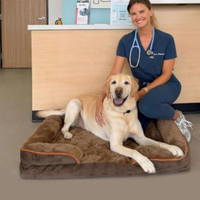 Orthopädisches Hundebett mit abnehmbarem, waschbarem Bezug