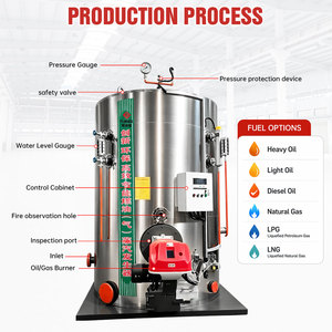 Chaudière à vapeur mini verticale LHS au <span class=keywords><strong>gaz</strong></span> naturel, diesel ou GPL de 300 kg, 200 kg, 150 kg, 100 kg – <span class=keywords><strong>Prix</strong></span> du générateur/chaudière à vapeur verticale - Product Image 5