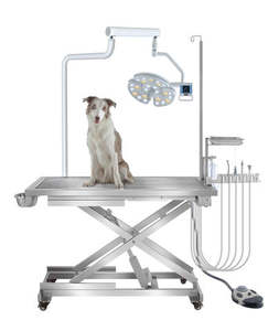 Banco da lavoro dentale tutto in uno per animali domestici tavola di trattamento chirurgico completo per la pulizia di levigatura macchina per lucidare il nuovo animale domestico dentale - Product Image 1