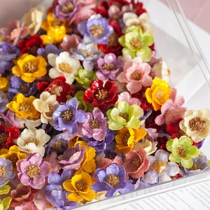Matériaux DIY pour boucles d'oreilles et bracelets : fleurs séchées véritables, roses, époxy, style forêt féerique, accessoires artisanaux - Product Image 1