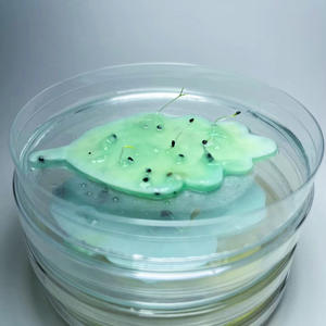 Handmade Growable <b>Paper</b> Gift Cards Custom-Shaped <b>Seed</b> <b>Paper</b> Invitations for Holidays/Weddings Plantable Cards - Product Image 6