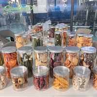 Máquina Industrial de Liofilización de Frutas y Verduras, Fresas, Arándanos, Mango, Carne, Snacks para Mascotas, Café, Pescado, Carne, Trozos de Fruta