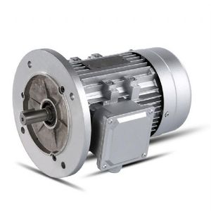 चीन YE2-90L-4-1.5KW इलेक्ट्रिक मोटर 220 वी 380 वी सीरीज का निर्माण एसी मोटर्स के लिए वी सीरीज का निर्माण 415 वी v. - Product Image 3