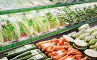 Film alimentaire professionnel anti-adhérent haute résistance anti-perforation