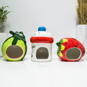 Maisonnette en céramique pour petits animaux, abri pour hamster, cabane pour chinchilla, cage pour animaux de compagnie, accessoire de cage mignon - Product Image 3